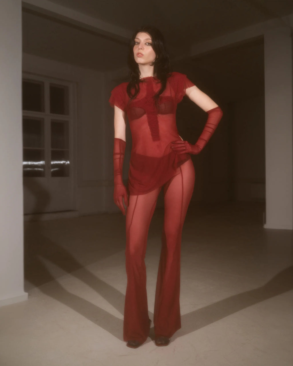 Dark Cherry Mesh Top